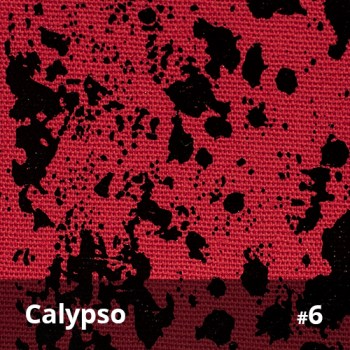 Calypso 6